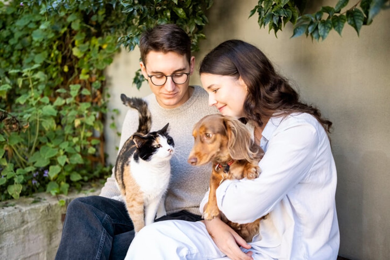 How to Include Pets in Your Estate Plan?