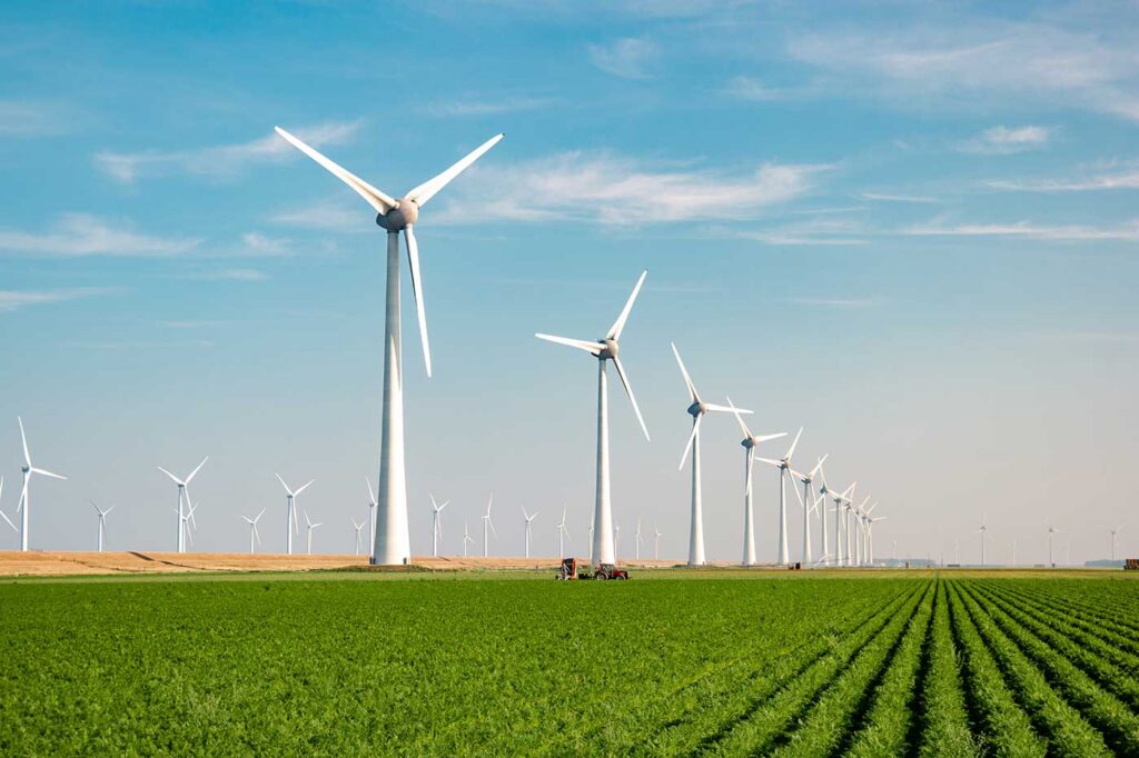 Investing with Purpose on World Environment Day - Sustainable Investing Prime Capital Financial