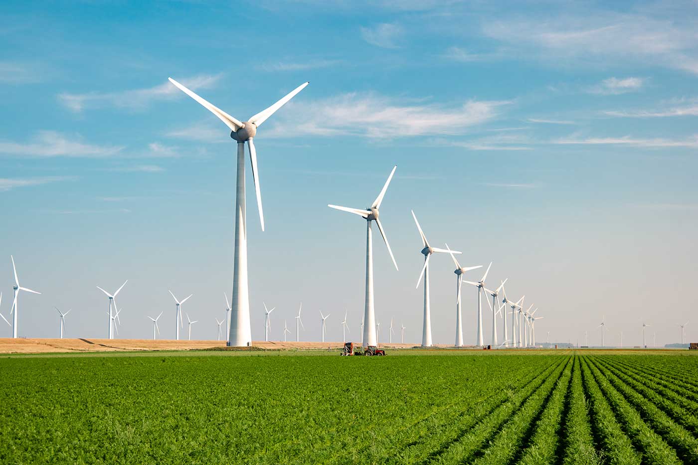 Your Money Has Values, Too: Investing with Purpose on World Environment Day